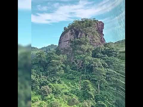 Uto Day (Buaboiyawa ni Uluiqere)