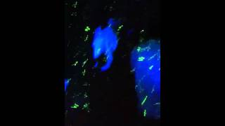 kiss kiss me bang bang