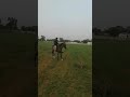 Marva dhola mera malak ma von MR મ Marva dhola mera malak ma von MR મ