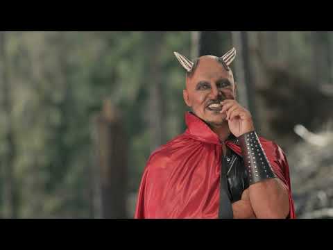 Gemeinsam gegen den Borkenkäfer: Hinschauen und handeln