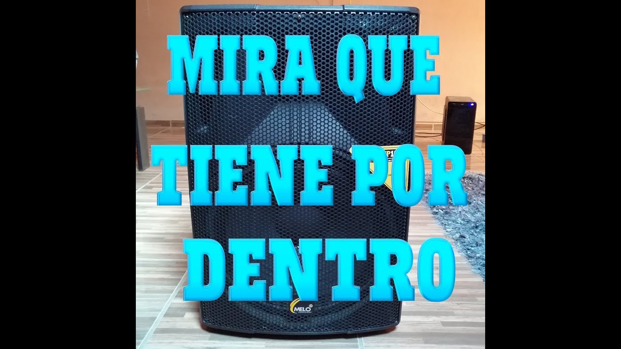 QUE TIENE POR DENTRO LA BOCINA MELO DSP1540