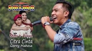 Download lagu CITRA CINTA - GERRY MAHESA-NEW PALLAPA LIVE KUPU WEDDING CHITA & ANGGA- TEGAL mp3 Download lagu CITRA CINTA - GERRY MAHESA-NEW PALLAPA LIVE KUPU WEDDING CHITA & ANGGA- TEGAL mp3