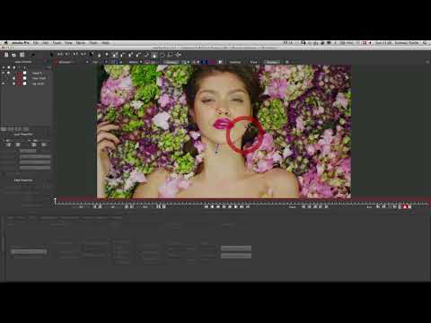 Bildrestauration und Kosmetik mit Mocha Pro & BCC