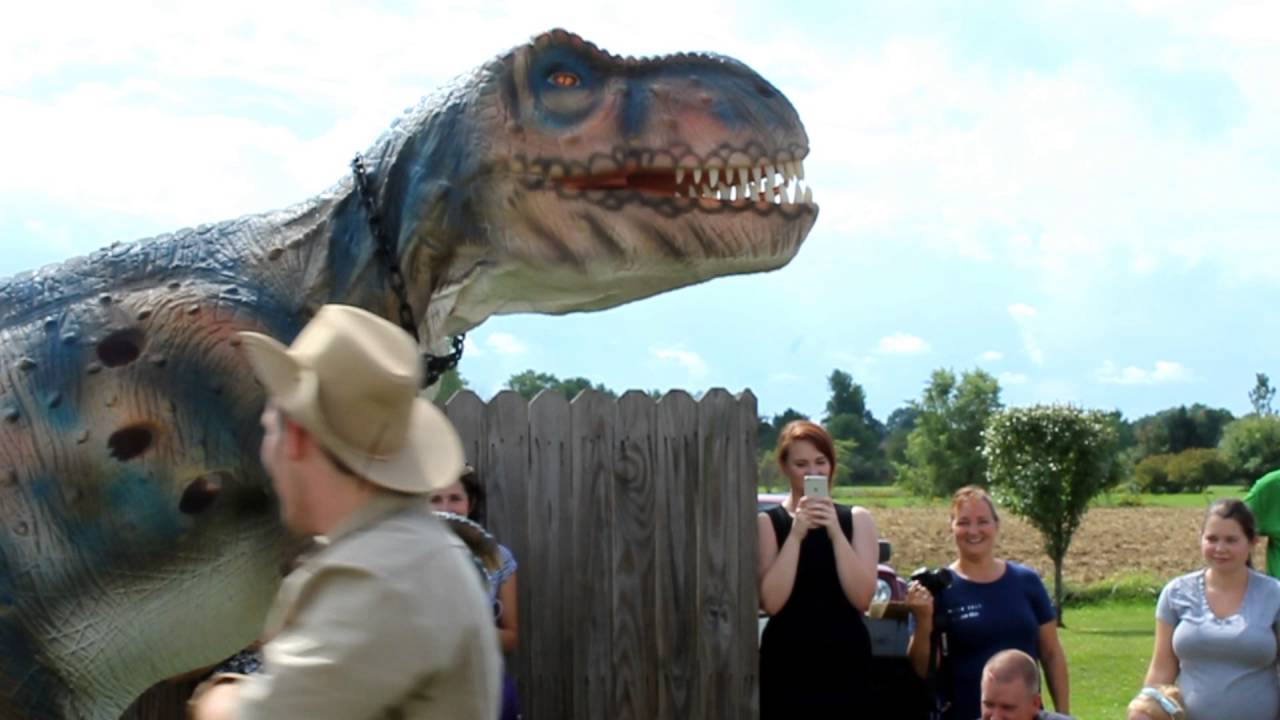 Promotional video thumbnail 1 for Dino in Ohio