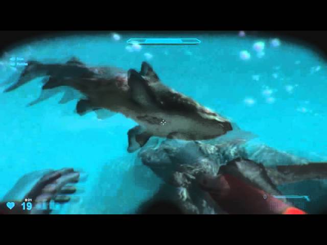 Shark Attack Deathmatch 2