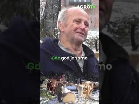 Ovako je izgledala poljoprivreda pre mehanizacije...