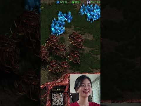 아이콘