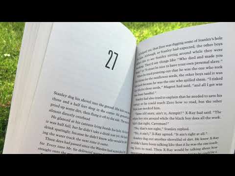 holes book chapters holes book chapters