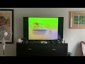 Sand Animals Sing A Song