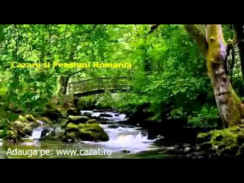 Cazare Cuza Voda, Constanta - Cazat.ro