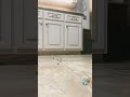 Playing With Marbles Part Two