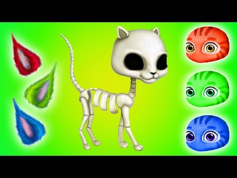 Build Little Kitten Play Care and Learn Animation Education Kids Games