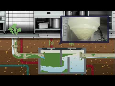 NCH Bioamp: Biological drain maintenance solution
