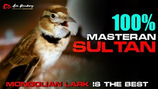 Download lagu MASTERAN BRANJANGAN MONGOL GACOR MASTERANNYA PARA SULTAN mp3 Download lagu MASTERAN BRANJANGAN MONGOL GACOR MASTERANNYA PARA SULTAN mp3