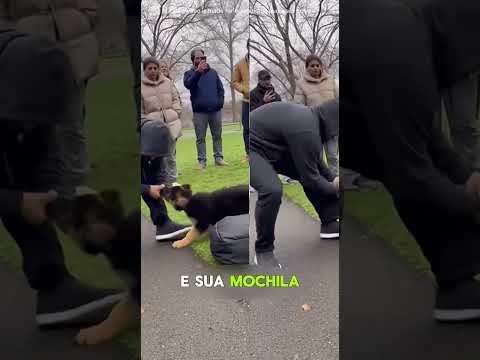 Cachorro late para estranho, polícia para ao revistar a mochila dele.#shortvideo