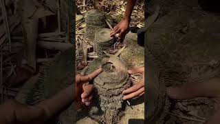 Download lagu 5 th kualitas superrr cuy😱😱 #layangan mp3 Download lagu 5 th kualitas superrr cuy😱😱 #layangan mp3