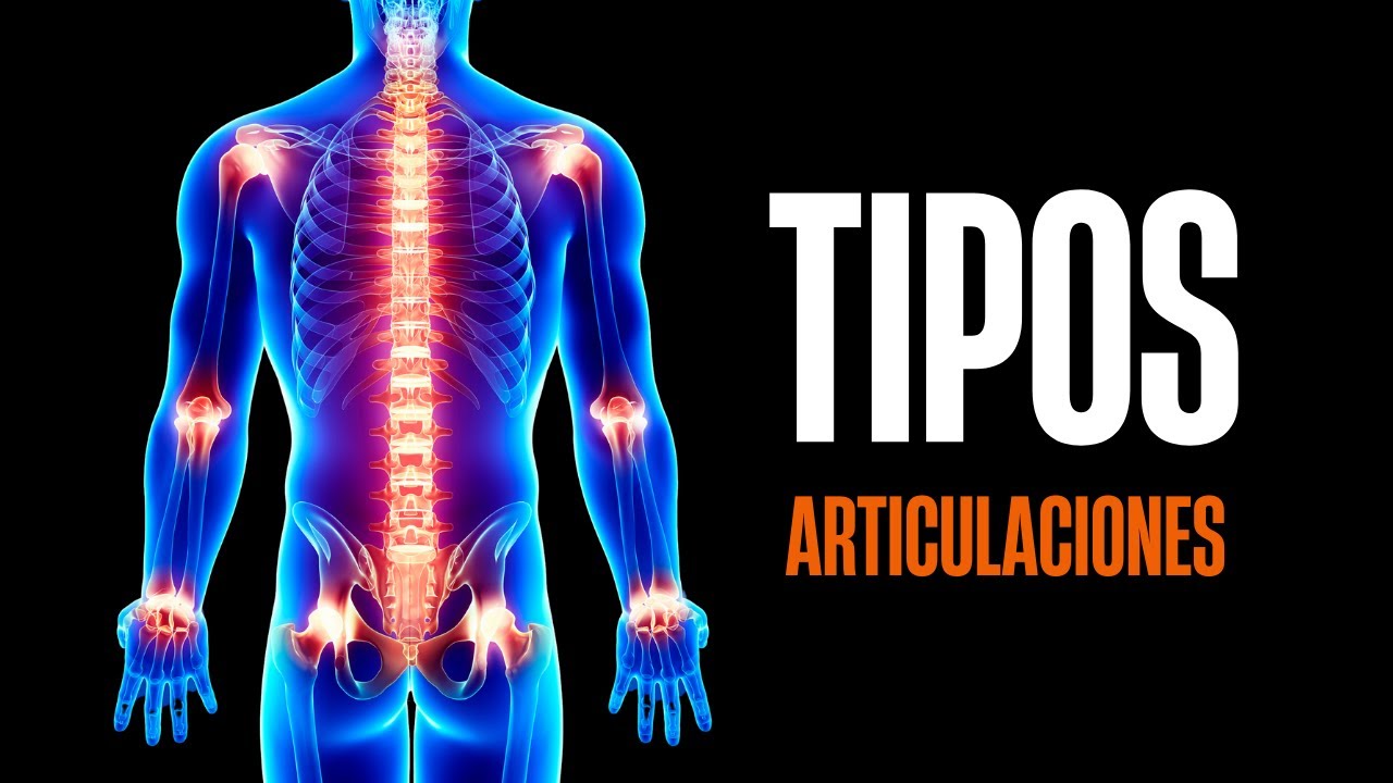 Tipos de articulaciones