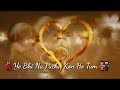 Humne Tumko Dil Ye Dediya Ye Bhi Na Poocha Kaun Ho Tu WhatsApp Status