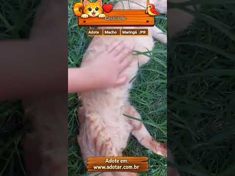 Vídeo de Caramelo
