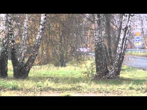 Jesienny Sprint AZT 2014 Tomasz Figura Łukasz Węglarz Fiat CC