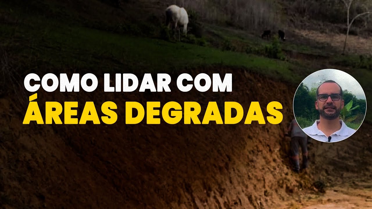 COMO LIDAR COM ÁREAS DEGRADADAS