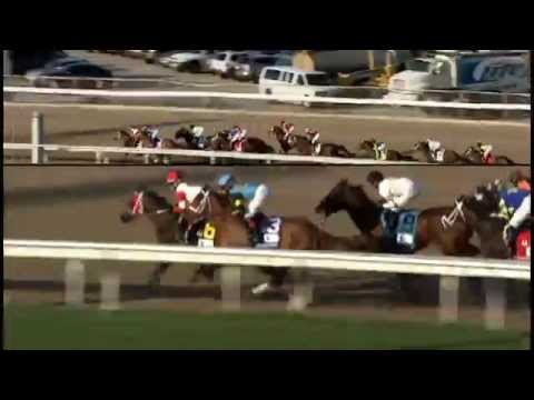 Vicar's In Trouble Rules Again in Louisiana Derby 2014