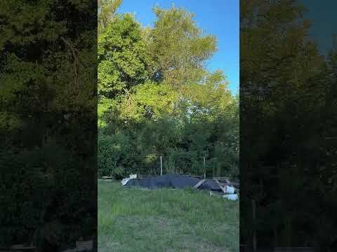 🌿 LOTE EN VENTA – ZONA DEL VALLE #inmobiliaria