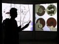 Interactive Video Layers Demo