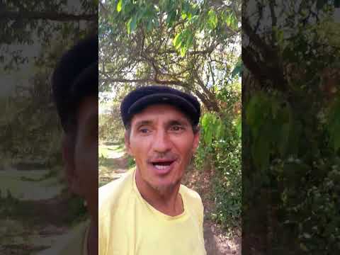 essa é a moto do sucesso na cidade de Mulungu na Paraíba tá sendo o maior sucesso@biadvd