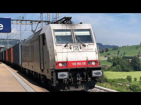 [FR/DE] Trafic ferroviaire/Bahnverkehr Immensee + Wädenswil - Transports Publics Suisses