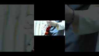 【#又三郎】【#ヨルシカ】【#shorts】【#永久機関】プロフよりYouTube fullへ飛べます！  #ヨルシカ  #初音ミク #anime #キタニタツヤ　 #盗作再演　 #盗作live