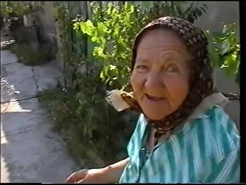 Slave Šanta prokazuje: Video arhiva ODNJATE OD ZABUCA - (Kocur 2002).