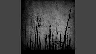 Tale of frozen tears