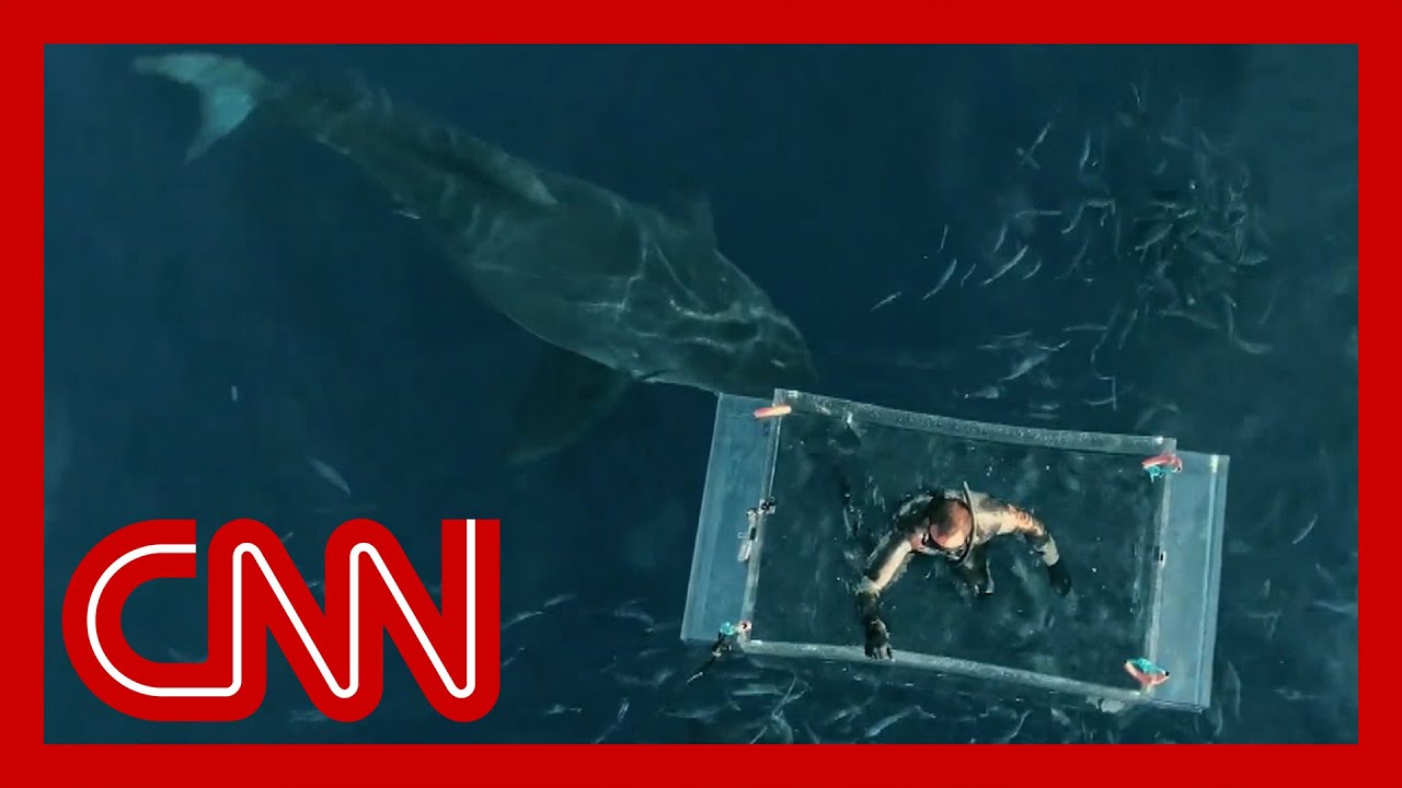 New heart-stopping footage of massive great white shark attack
