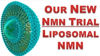 Our New NMN Trial | Liposomal NMN