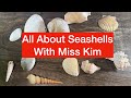 All About Seashells