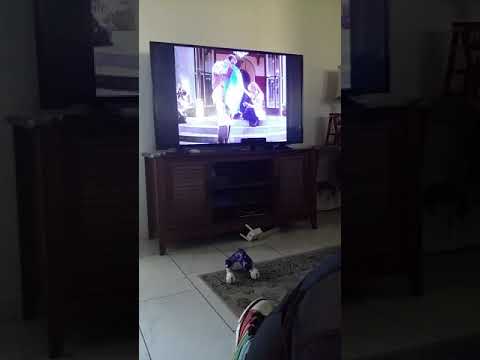 I have a hole my stomach! !