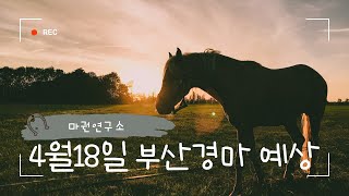 [마권연구소] 4월18일 부산경마 예상&분석