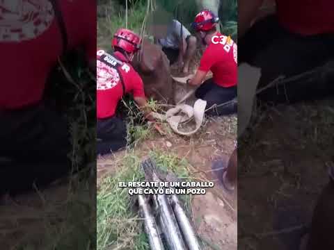 MILAGROSO RESCATE EN CRUZ DEL EJE🐴 | Cadena 3 Argentina