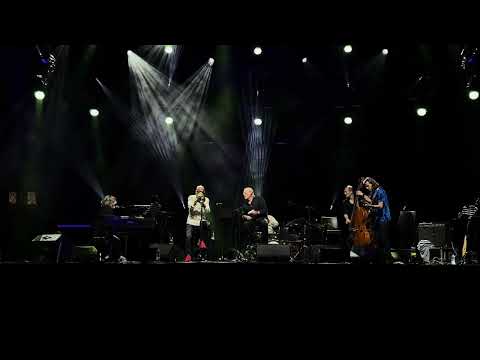 Ribbon in the Sky - Stevie Wonder. Thierry Eliez & Co - Jazzdanport 2025