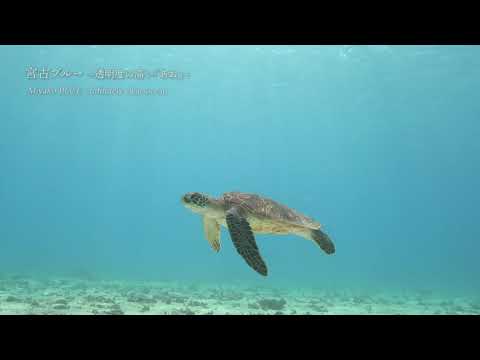宮古ブルー透明度の高い「あお」 ～ Miyako BLUE infinitely clear ocean ～
