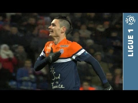 Ligue 1 - Week 14 : Goals compilation - 2013/2014