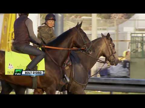 Spendthrift Farm's General Manager Ned Toffey on 2018 Kentucky Derby Contender Bolt d'Oro
