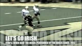 Let&#39;s Go Irish (You&#39;ll Never Beat the Irish), The Wolfe Tones