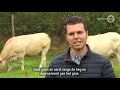 Weg met prikkeldraad, leve de vlechtheg
