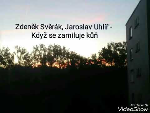 AV 2018 38 Zdenek Sverak, Jaroslav Uhlir - Kdyz se zamiluje ...