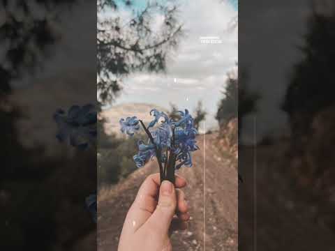 Mahmut Çınar - Geldin