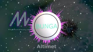 Download lagu Altimet - Bunga FanVideo (visualizer) mp3
