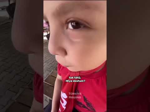 Kaplumbağa Ninen meme görseli