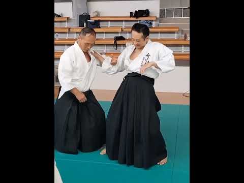 肩持ちの崩し　 #aikido #合気道 #martialarts